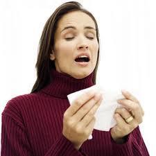 When you sneeze, all body functions stop, including the heart. True or false?