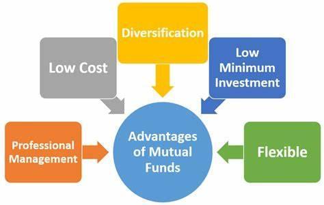 What is a mutual fund?