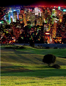 At night would you rather see dark valleys and green hills or pretty city lights.