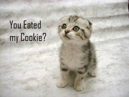 What do you do when someone eats the last cookie???!!