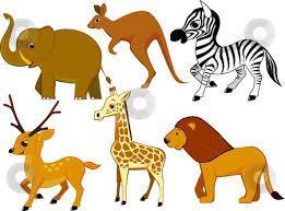 what is your best animal