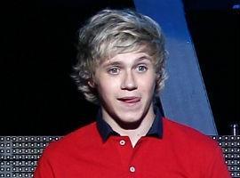 How old is Niall when his parents divorced?