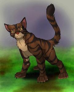 Who is new ShadowClan leader after Nightstar died (Write his leader name, not warrior name.) ?