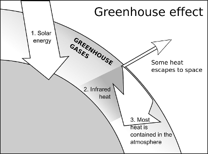 Which compound is responsible for the greenhouse effect?