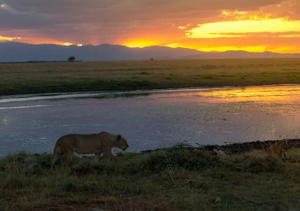 Which country is famous for the Maasai Mara National Reserve and Mount Kilimanjaro?