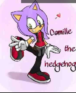 You slowly reconise her. Your eyes grow wide and she giggles. "Remeber me huh?" "Your the one who gave me that nightmare!?, are you a bad guy then?" "Definatly not! I'm Camille the Hedgehog. I was just prepearing you for what was coming" She smiles and also goes back to the fighting. You look to the guys to see they are also fighting. You smirk a little. "Lets do this"