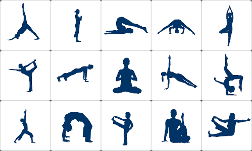 Which type of yoga focuses on holding postures for longer periods?
