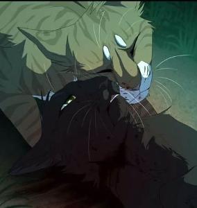 Do you think Hollyleaf truly loves her mother?