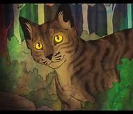 How many half-brothers does Brambleclaw have