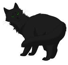 While in the tunnels, what kind of animal did Hollyleaf meet? (Not the cat!)