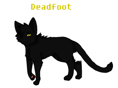What cat did Deadfoot chose to go to Sun- Drown place?