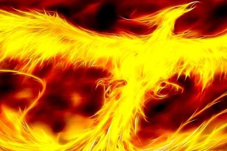 What do you think of Phoenixes?