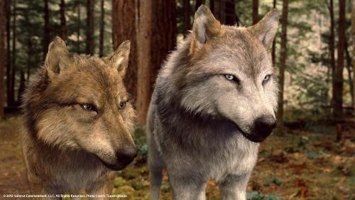 What are the names of these 2 werewolves?