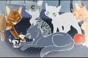 Are you loyal to Starclan?