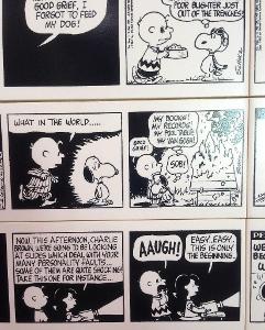 Who is the creator of the comic strip 'The Peanuts'?