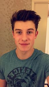 When Shawn Mendes was in School, what TWO sports did he love to play the most?