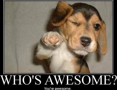 How awesome are you?