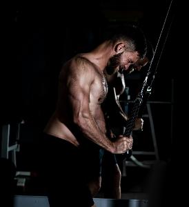 Which exercise can target the triceps effectively?