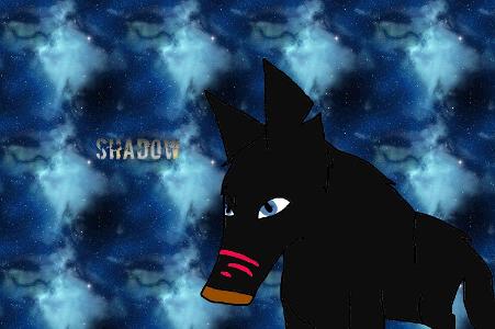 RP time: you see Shadow having problems tracking down his pups, what would you do?