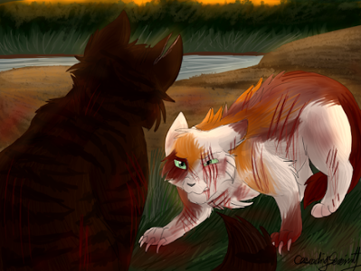 What did ravenpaw tell firepaw he saw on the night of the battle with riverclan?
