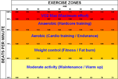 What is the recommended target heart rate range during cardiovascular exercise?