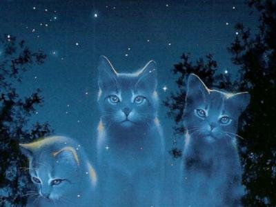 Do you know who Starclan is?