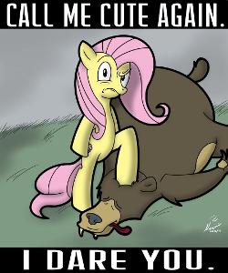 Is Fluttershy cute in this picture?