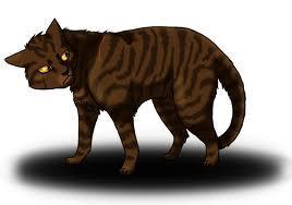 I am a loyal thunderclan cat and take place in two prophecies. My sister left to be a shadow clan cat. I also have to prove my loyalties again and again. But I became the leader of thunderclan after the great battle. My mate, Squirrelflight became my deputy.