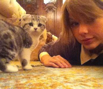 Does Taylor have a cat? If so what is it's name?  *hint* *wink wink*