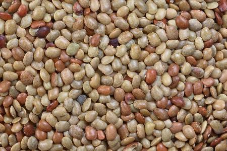 What is the other name for horse gram?