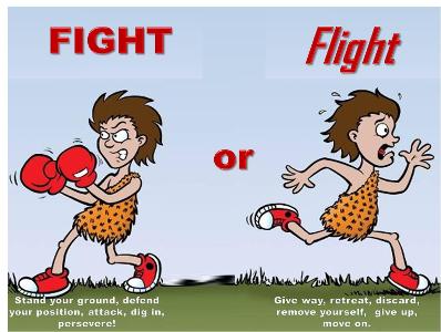 Fight or flight?