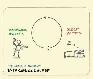 How does exercise impact sleep quality?
