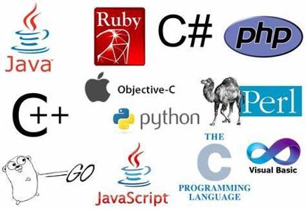 What is your preferred programming language?