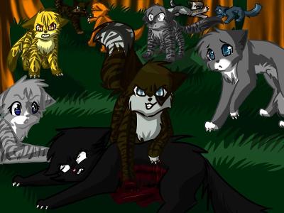 Was it right for Hawfrost to kill Hollyleaf?
