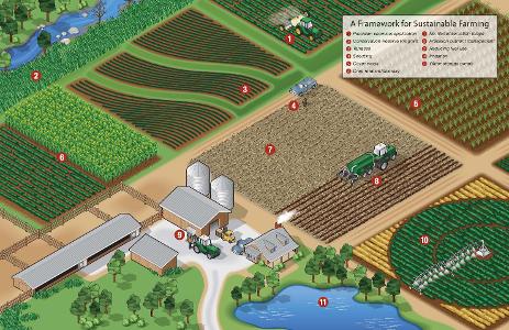 What is the concept of crop rotation in sustainable agriculture?