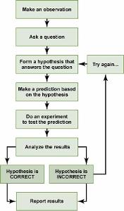 What is the first step in hypothesis testing?