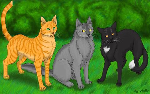 What did Ravenpaw say to Firestar abot the upcoming journery?