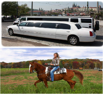 would you rather travel in a limousine or on a horse back?