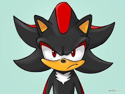 You arrive in a house distant from others. When Sonic open you the door, you slowly enter in the house. < Sonic: It's just the house of Shadow huh, not a haunted house. > < You: Shadow? > < Unknown voice : Yes, Shadow. > A black and red hedgehog approaches you. < Shadow : Im Shadow. Shadow the Hedgehog. >