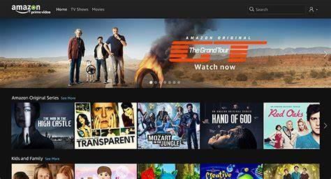 Which online streaming service offers a wide range of movies, TV shows, and Amazon Originals?