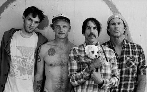 Are the red hot chili peppers gay ?. This is a poll done by google website.