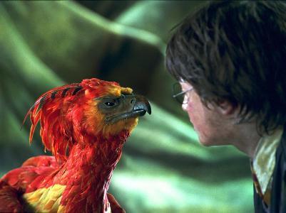 In which Harry Potter book is Fawkes the phoenix introduced?