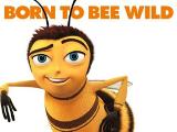 the entire bee movie script