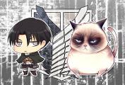 Levi and his cats