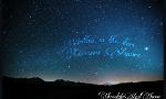 Written in the stars: Cercavo Amore