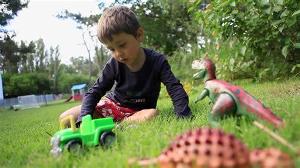 Child who deployed his toy monster truck on neighbor's property arrested for acts of domestic terorism