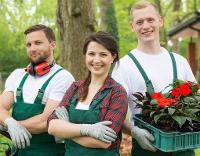 Expert Gardening Services in London