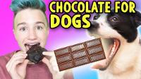 DIY CHOCOLATE BAR FOR DOGS ! And People, I Guess