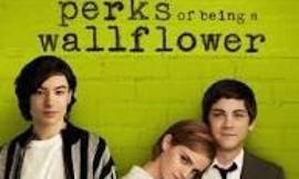 Has anyone seen Perks of Being a Wallflower?