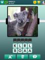 Don't you think this koala is adorable?